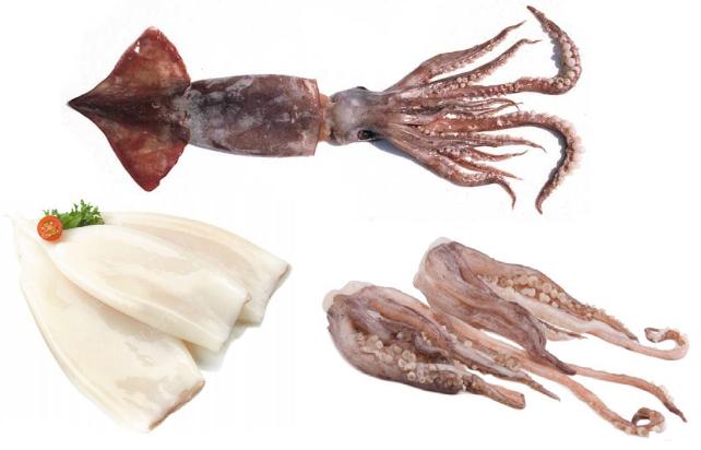 dosidicus gigas whole tube and tentacles fis_com(4)